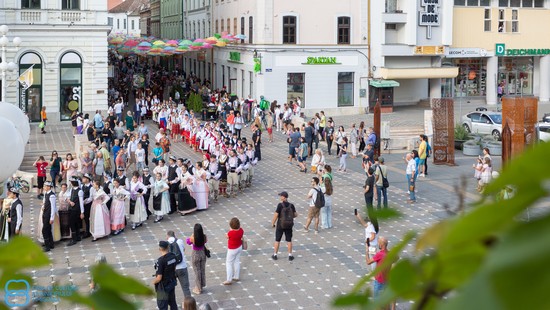 Ziua Minorităților și Ruga Timișoarei / PROGRAM