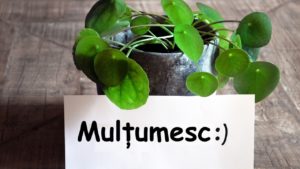 11 ianuarie, ziua cuvântului „Mulțumesc”