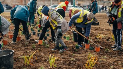 Sensul giratoriu din Piața Mărăști se “înverzește” cu plante ornamentale și salcii sferice