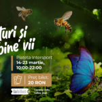 Expoziție educativă de fluturi și albine vii, la Iulius Town