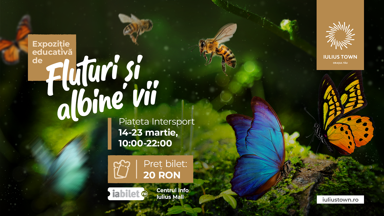 Expoziție educativă de fluturi și albine vii, la Iulius Town