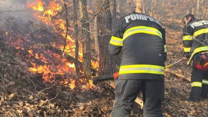 Incendii de vegetație și litieră de pădure pe zeci de hectare în județul Hunedoara