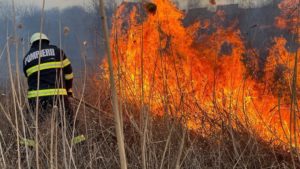 Pompierii hunedoreni intervin la opt incendii de vegetaţie. Amenzi pentru foc pus intenționat