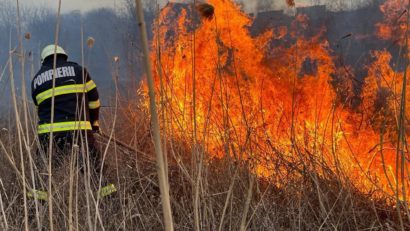 Amenzi pentru incendierea vegetației uscate în județul Hunedoara