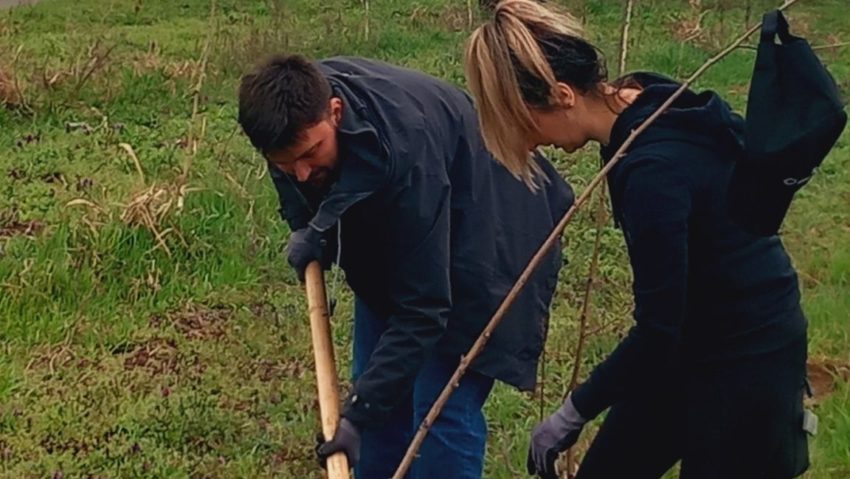 Plantare de copaci în apropierea Timișoarei. A început Luna Pădurii